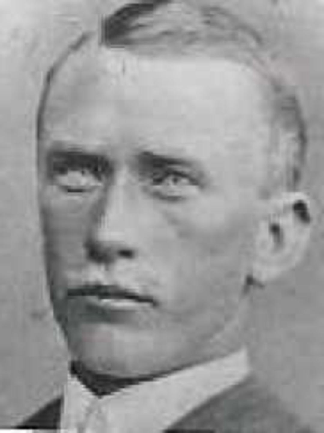 Axel Lauritz Theodor Anderson (1855 - 1936) Profile